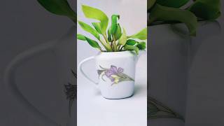 #shorts, Decorate plant, #diy #tyt #plants #youtubeshorts #how to grow indoor plants propagation