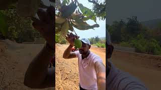 Ratnagiri #hapusaam #ytshorts #shorts #youtubeshorts