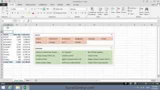 Excel Expert Lesson 5-8: Filter a pivot table visually using slicers