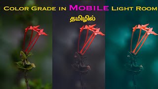 Color grading in Mobile Lightroom in Tamil | Learn Photography in Tamil