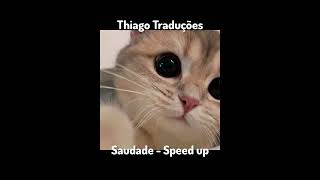 SAUDADE - AGROPLAY, ANA CASTELA & GABITO BALLESTEROS ( SPEED UP SONG )