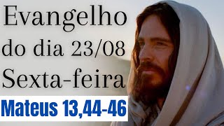 Evangelho do dia com reflexão, Sexta-feira 23/08, Mt 13,44-46