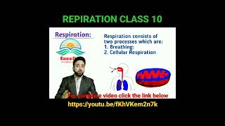 Respiration Class 10 | Respiration In Humans #shorts