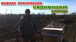 Информация для садоводов-новичков!!! Определяем плодовую почку!!!