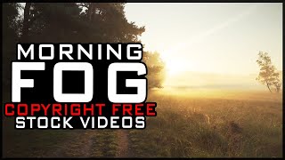 A Foggy Morning In Nature - Copyright Free Stock Footage