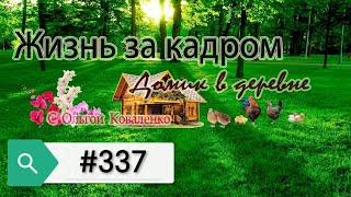 Жизнь за кадром #337