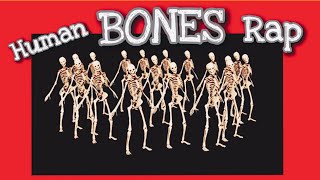 Human Bones Song 🎵 | EASY & FUN Way to Memorize the Bones of the Body (FUNdamental RAPS) Anatomy