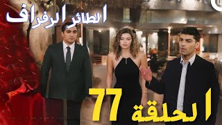 مسلسل الطائر الرفراف الحلقة 77 الموسم التالث | اعلان الحلقة كاملة ومترجمة للعربية