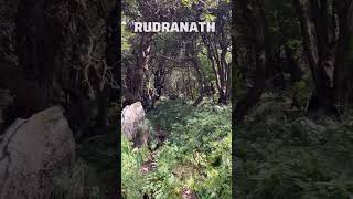 You need courage and good fitness to reach Rudranath | Toughest Kedar to Trek 😨⛰️ #shorts #trending