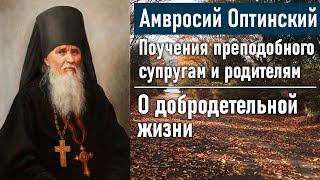 О добродетельной жизни / Поучения преподобного Амвросия Оптинского супругам и родителям