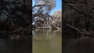 Kayaking through ice. Satisfying crunching.