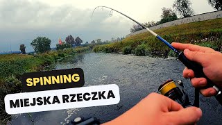 LISTOPADOWY SPINNING na MAŁEJ RZECE || LEKKO NIE BYŁO 😬