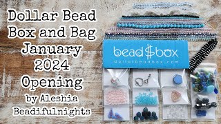 Dollar Bead Box and Bag January 2024 Opening