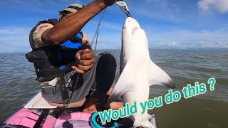 Bullshark landed on kayak in 6 foot of water.