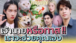 เจ้านายกำลังเศร้า..พวกเราจะช่วยคุณเอง !! (ละครสั้น) - พลุแตก แชนแนล