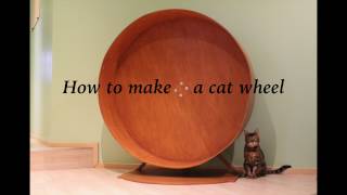 How to make a cat wheel