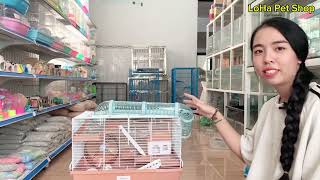 Combo chuột hamster robo siêu dễ thương với chuồng siêu to khổng lồ