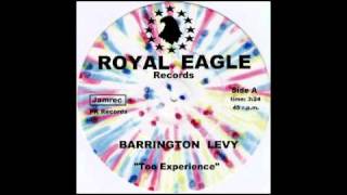 Barrington Levy - Too Experience.