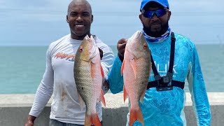 Snapper Fishing Caribbean Style! (Florida Keys Bridge Fishing)