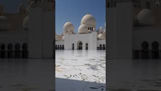 Sheikh Zayed Grand Mosque #shorts