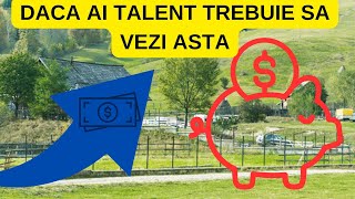 idei de afaceri la tara - DACA AI TALENT TREBUIE SA VEZI ASTA