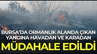 Yenişehir'de ormanlık alanda çıkan yangına havadan ve karadan müdahale edildi