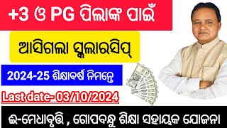 +3 and PG scholarships apply date published | E medhabruti scholarship date 2024 | GSSY scholarships