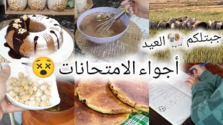 روتيني وقت الإختبارات🤕/كيفاش النظم وقتي بين الشغل و بين قراية ولدي/موسكوتشو في العلالي بزوج بيضات