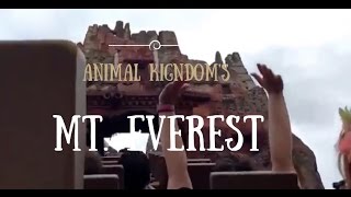 Disney World | Animal Kigndom | Mount Everest full ride