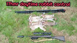 17 HMR DAYTIME RABBIT SHOOT.