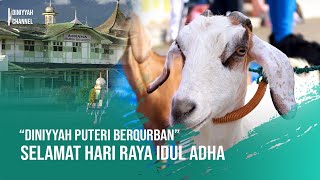 Indahnya Berbagi di Masa Pandemi | Diniyyah Puteri Berqurban ~ QURBAN IDUL ADHA 1442H