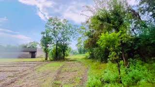 Rain | village | Pakistan | Swat | Chakdara | Dir lower | Ramorha | walking in Rain