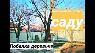 ВЕСЕННИЕ РАБОТЫ В САДУ/ ПОБЕЛКА ДЕРЕВЬЕВ/ ЖИТЬ В ДОМЕ/ КУБАНЬ