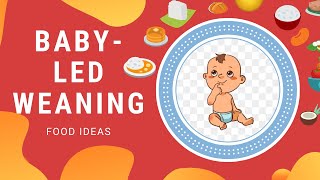 BABY LED WEANING RECIPE IDEA'S  | FINGER FOODS | BASICS FOR BEGINNERS