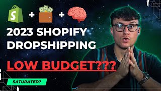 Dropshipping in 2023 With a Low Budget? Does It Work?