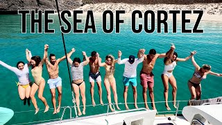 Sailing the Sea of Cortez