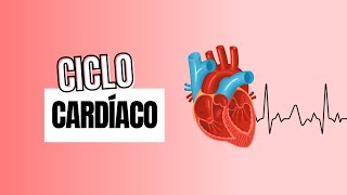 CICLO CARDÍACO | Fisiologia Cardiovascular