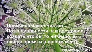 день 8  медитация закон изобилия и чистой потенциальности