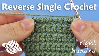 Reverse Single Crochet (right-handed version)