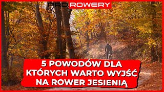 Jazda na rowerze jesienią – WARTO?!