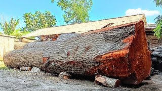 See how it works in a wood factory, sawing the hardest and oldest mahogany wood