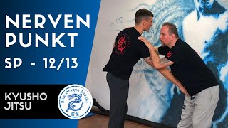 NERVENPUNKT SP 12/13 I Kyusho Jitsu I Selbstverteidigung by Blue Dragon Lausitz