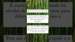 Características do bambu      #bambu #sustentabilidade #natureza #explore