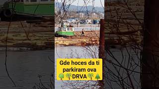 Parkiraj mi ova drva... #shorts #canada #viral #logging