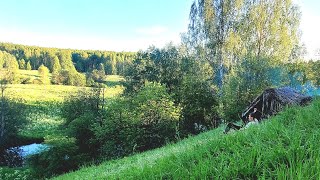 Construction of a dugout with a stove inside, in a wild forest | Bushcraft Survival Camping | SOLO