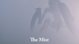 The Mist: Payback. Scientists from Project Arrow accidentally opened a window to a parallel world