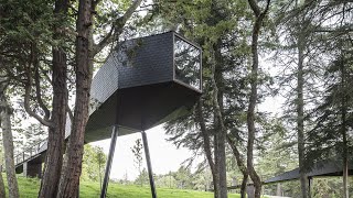 A Unique And Unusual Tiny House! Cost $20,000!