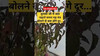 तुलसी जी में जल चढ़ाते समय यह मंत्र बोलने से कष्ट होंगे दूर #Pradeepmishra #viralvideo  #upay