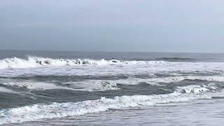 OBX Wave Report Feb 2 — 2-5 Foot and Clean