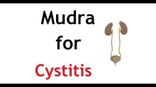 Mudra for Cystitis | सिस्टाइटिस | சிறுநீர்ப்பை அழற்சி